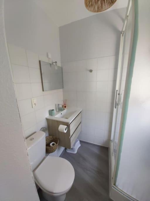 Apartment Le Jungle - Hyper Centre - Wifi Lourdes